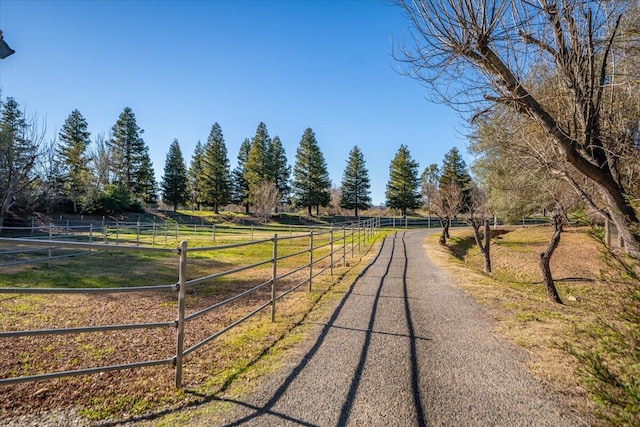 view of road with a rural view