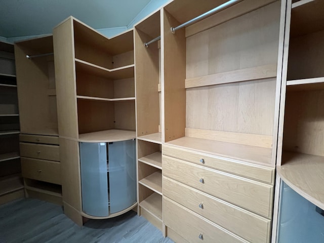 walk in closet with wood-type flooring