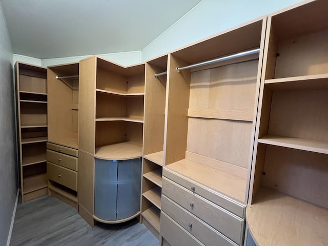 spacious closet featuring vaulted ceiling and hardwood / wood-style flooring