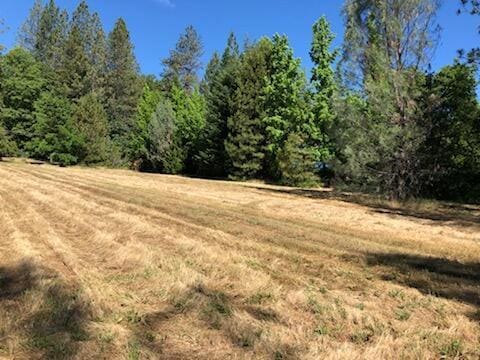 Lakeview Dr, Lakehead CA, 96051 land for sale