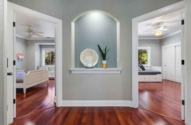 hall featuring dark wood-type flooring, a wealth of natural light, and ornamental molding