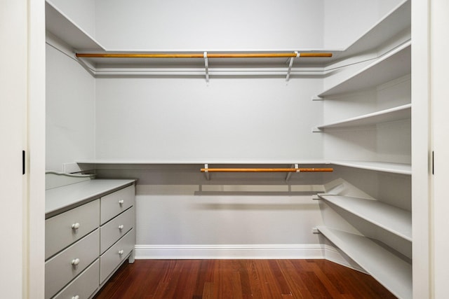 walk in closet featuring dark hardwood / wood-style flooring