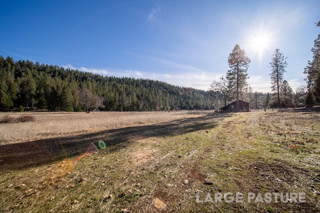 view of yard with a rural view