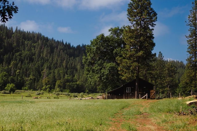 view of yard featuring a rural view