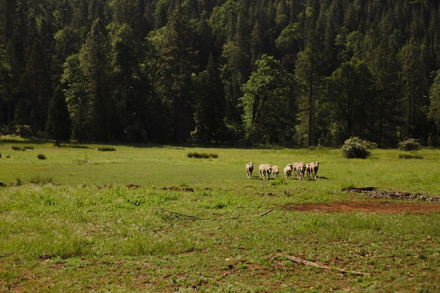 exterior space with a rural view