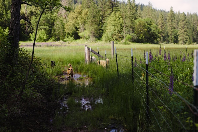 view of yard with a water view and a rural view