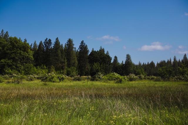 view of landscape with a rural view