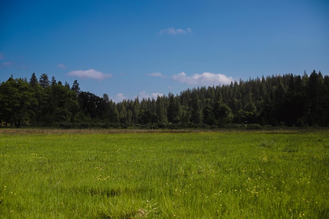 view of landscape with a rural view