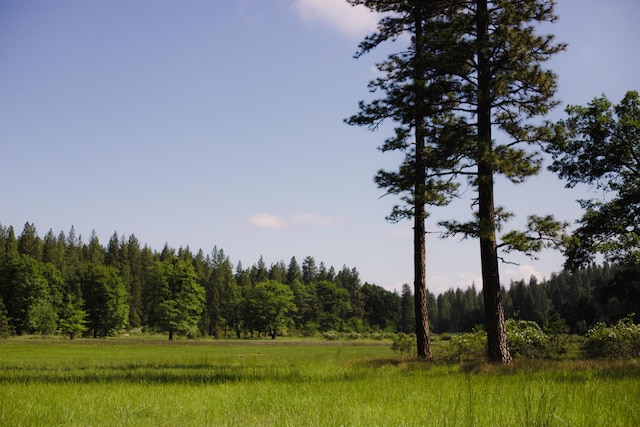 view of landscape