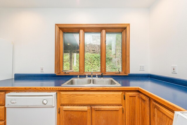 kitchen with sink and dishwasher