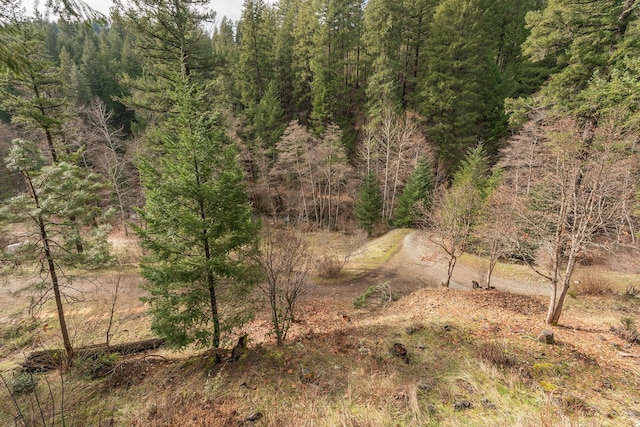 view of local wilderness