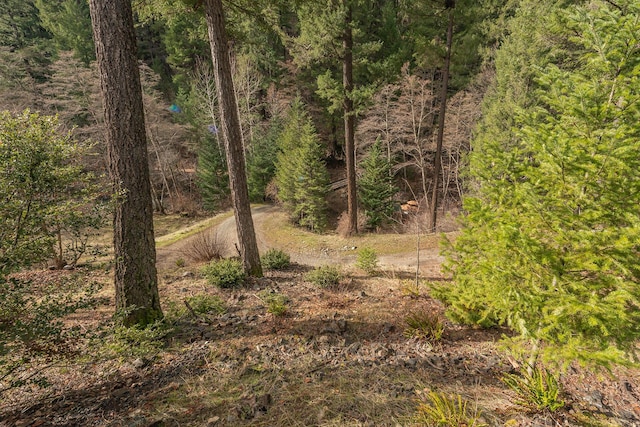 view of local wilderness