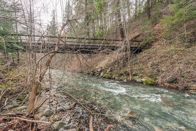 view of local wilderness