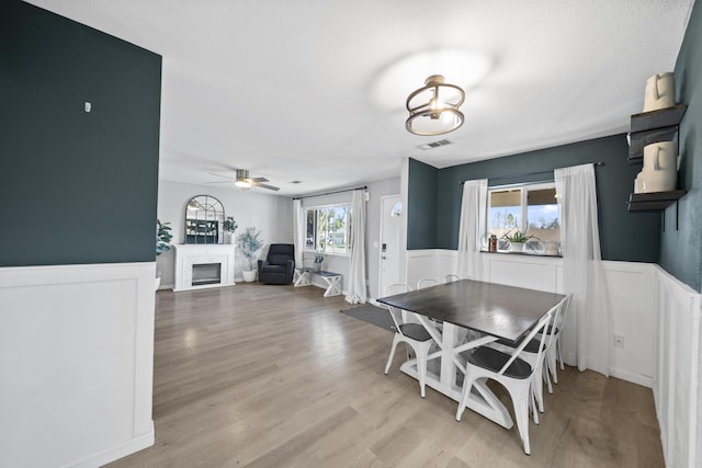 dining space featuring ceiling fan, a healthy amount of sunlight, and light wood-type flooring