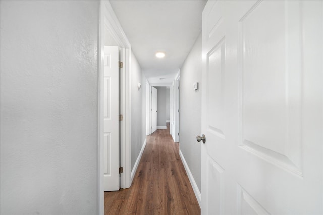 corridor featuring dark hardwood / wood-style flooring