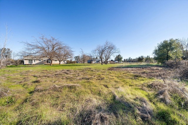 view of yard featuring a rural view