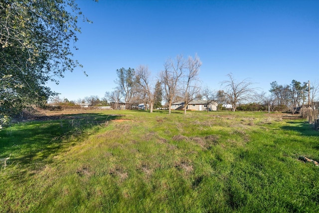 view of yard with a rural view