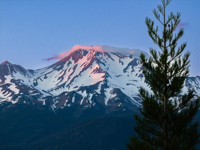 4620 W A Barr Rd, Mount Shasta, CA 96067 - photo 4