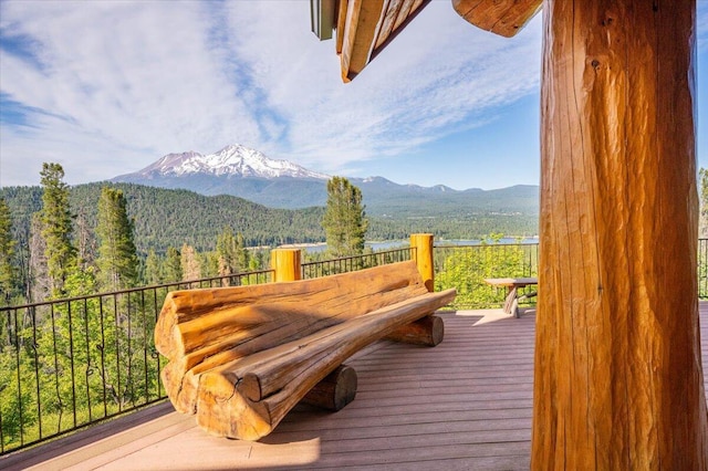 4620 W A Barr Rd, Mount Shasta, CA 96067 - photo 34
