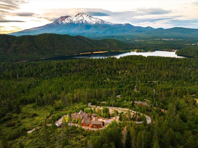 4620 W A Barr Rd, Mount Shasta, CA 96067 - photo 42