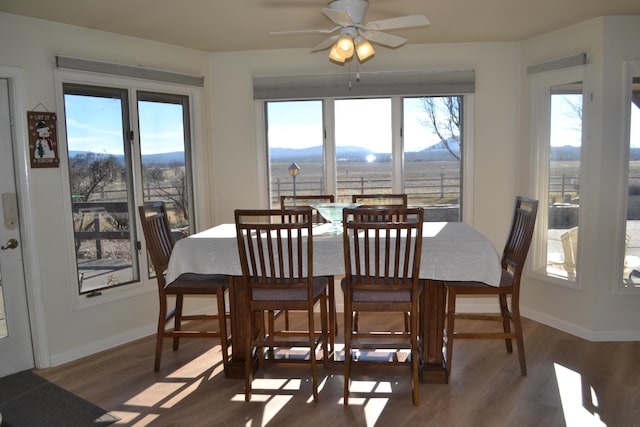 dining room featuring a healthy amount of sunlight, a mountain view, and hardwood / wood-style floors