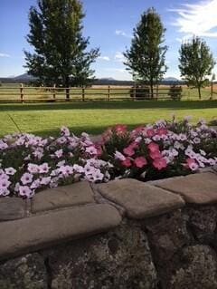 view of yard featuring a rural view