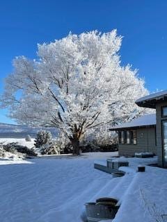 view of yard covered in snow