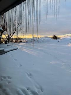 view of yard covered in snow