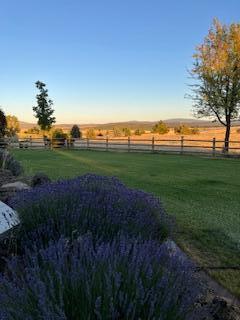 view of yard with a rural view