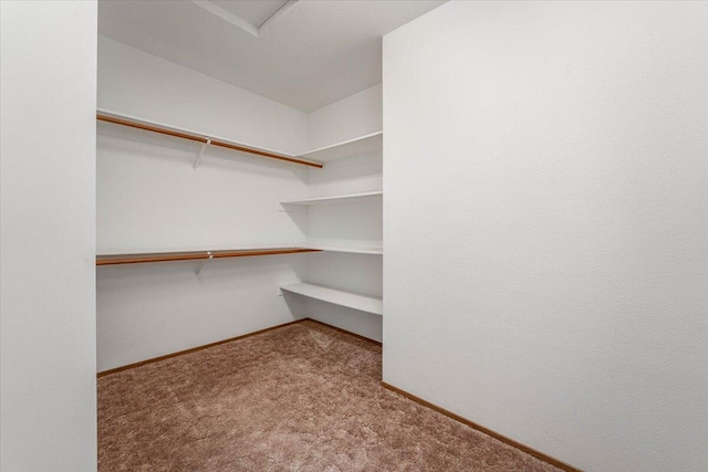 spacious closet featuring light carpet