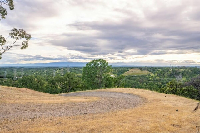 view of local wilderness featuring a mountain view