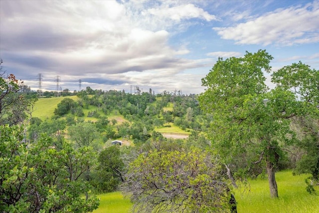 view of local wilderness