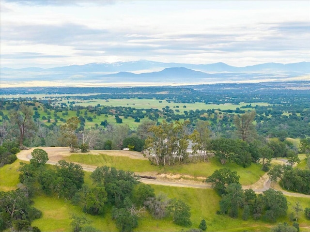 birds eye view of property with a mountain view