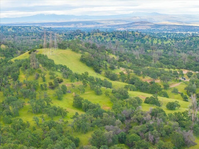 aerial view with a mountain view