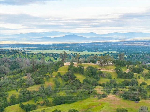 birds eye view of property with a mountain view