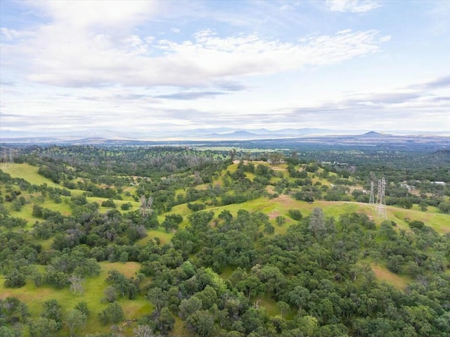 drone / aerial view featuring a mountain view