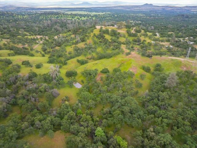 drone / aerial view featuring a mountain view