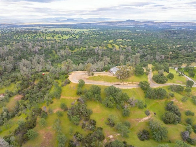 bird's eye view featuring a mountain view