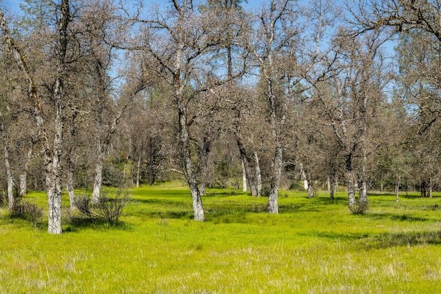 view of home's community