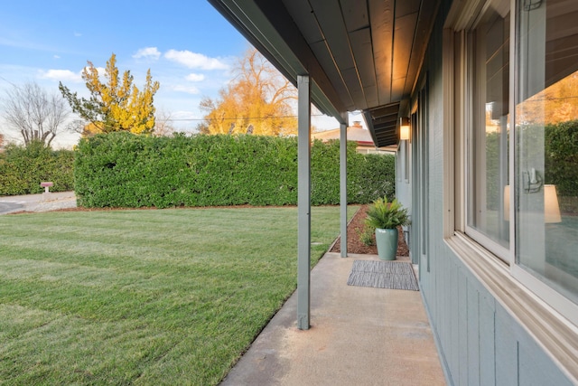 view of yard featuring a patio area