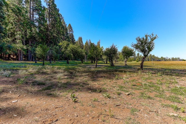 view of yard with a rural view