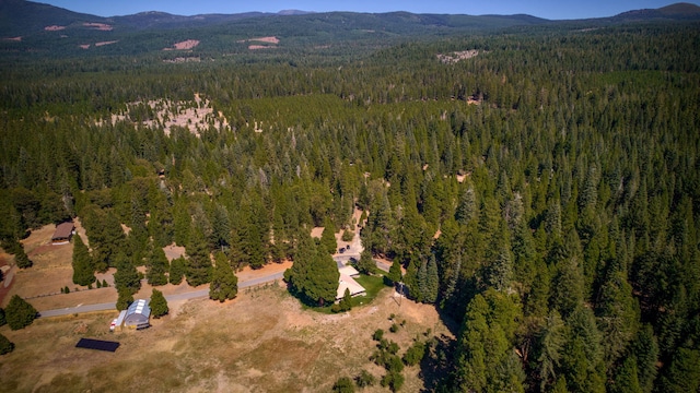 drone / aerial view featuring a mountain view