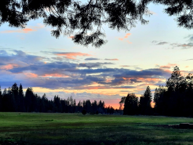 view of nature at dusk