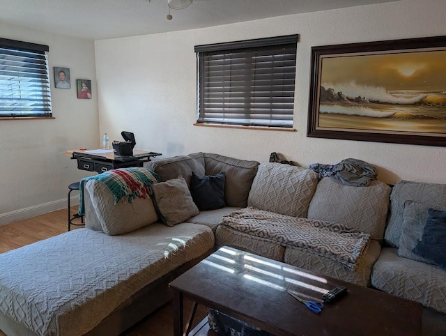 living room with wood-type flooring