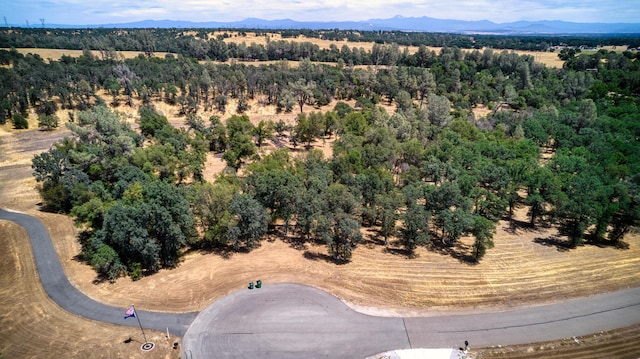 Shire Horse Ln, Cottonwood CA, 96022 land for sale