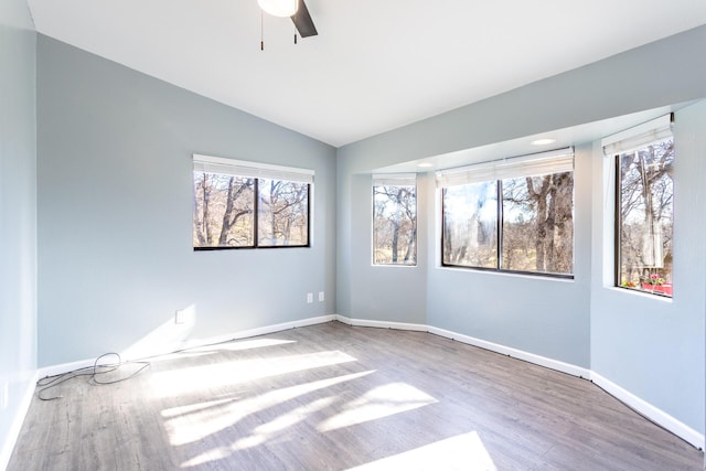 spare room with wood-type flooring, lofted ceiling, a wealth of natural light, and ceiling fan