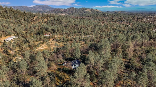 bird's eye view featuring a mountain view