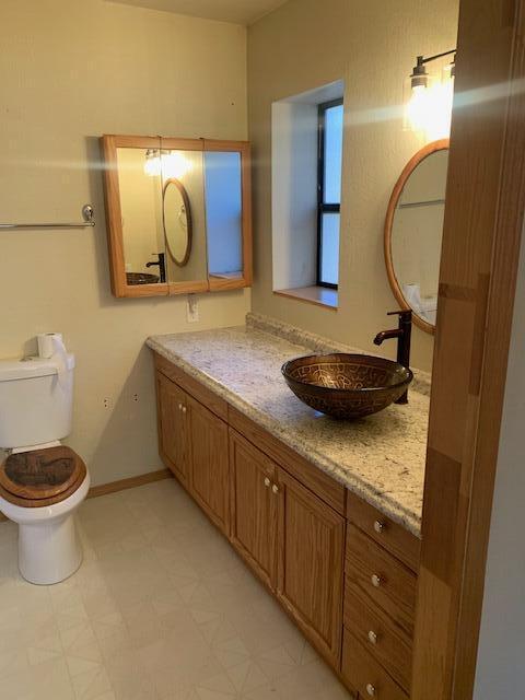 bathroom featuring vanity and toilet