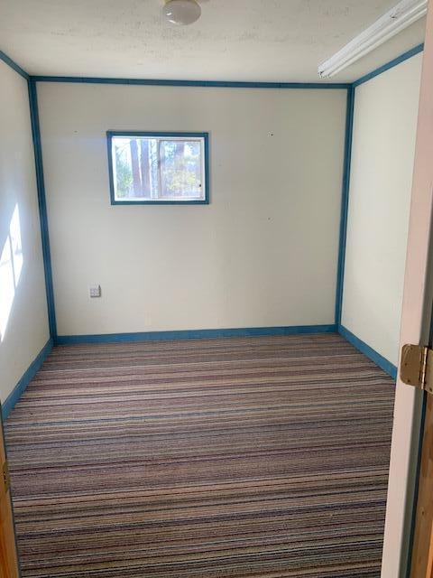 carpeted empty room with crown molding and a textured ceiling