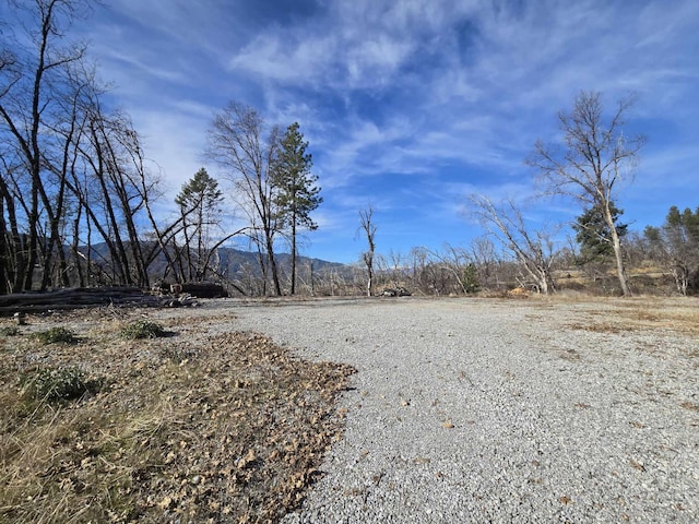 Listing photo 2 for LOT1 Claus Ln, Lakehead CA 96051